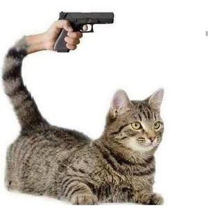 Meet your Posher, Dest